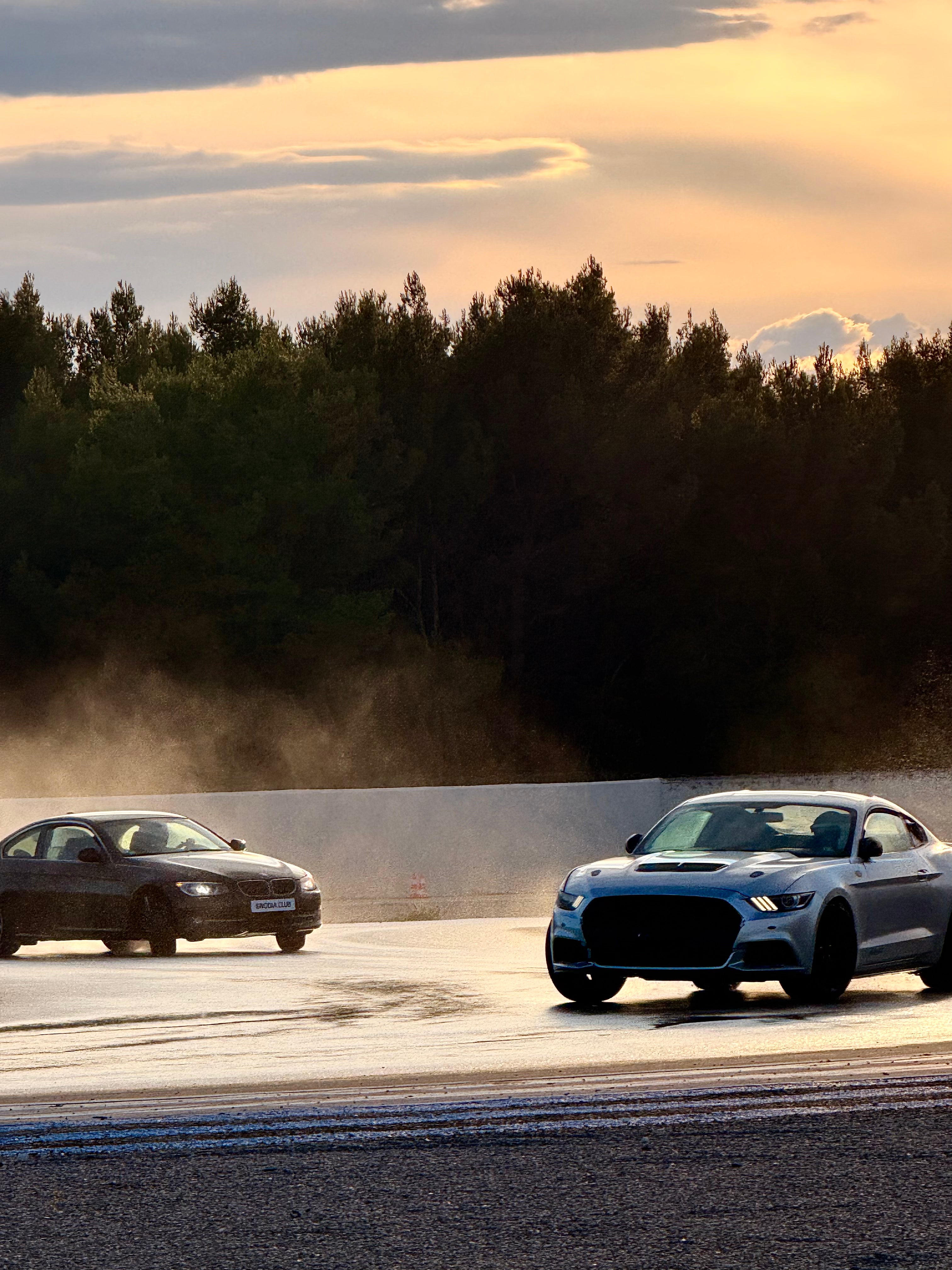 VII - BON CADEAU ENODIA